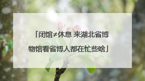 闭馆≠休息 来湖北省博物馆看省博人都在忙些啥