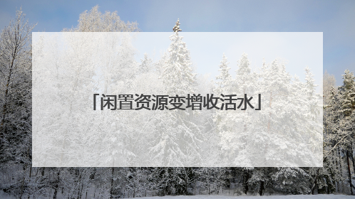 闲置资源变增收活水