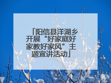 阳信县洋湖乡开展“好家庭好家教好家风”主题宣讲活动