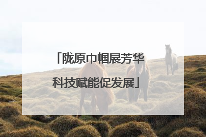 陇原巾帼展芳华 科技赋能促发展