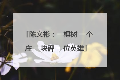 陈文彬：一棵树 一个庄 一块碑 一位英雄