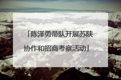 陈泽勇带队开展苏陕协作和招商考察活动