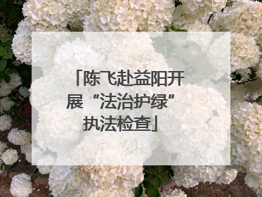 陈飞赴益阳开展“法治护绿”执法检查
