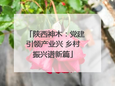 陕西神木：党建引领产业兴 乡村振兴谱新篇