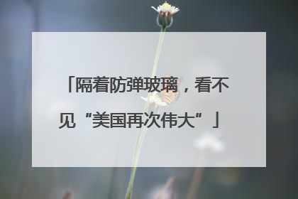 隔着防弹玻璃，看不见“美国再次伟大”