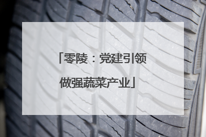 零陵：党建引领 做强蔬菜产业