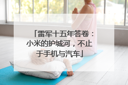 雷军十五年答卷：小米的护城河，不止于手机与汽车