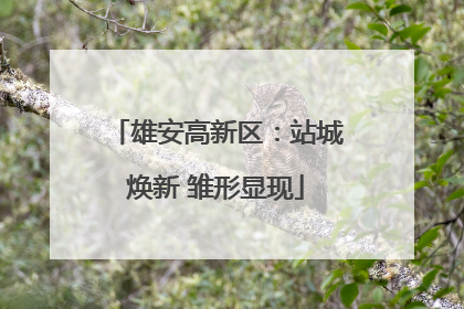 雄安高新区：站城焕新 雏形显现