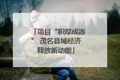项目“积厚成器” 茂名县域经济释放新动能