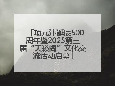 项元汴诞辰500周年暨2025第三届“天籁阁”文化交流活动启幕