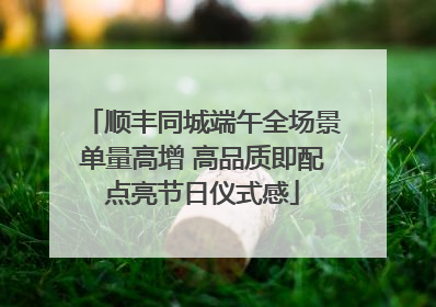 顺丰同城端午全场景单量高增 高品质即配点亮节日仪式感