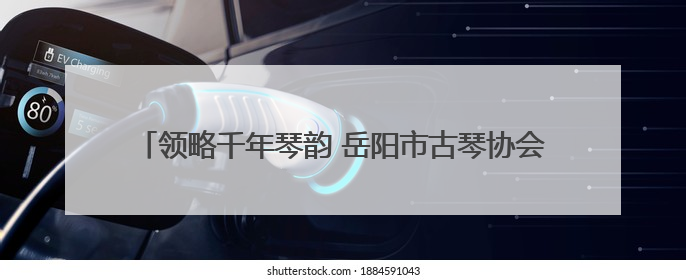 领略千年琴韵 岳阳市古琴协会一行参观岳阳楼博物馆古琴展