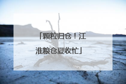 颗粒归仓！江淮粮仓夏收忙