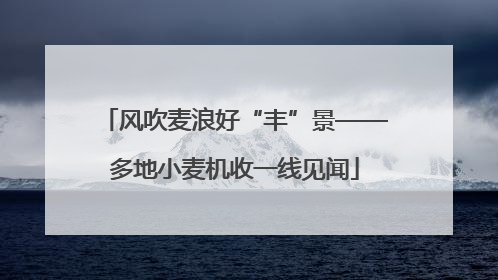 风吹麦浪好“丰”景——多地小麦机收一线见闻