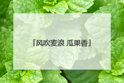 风吹麦浪 瓜果香