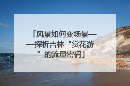 风景如何变场景——探析吉林“赏花游”的流量密码