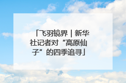 飞羽镜界｜新华社记者对“高原仙子”的四季追寻