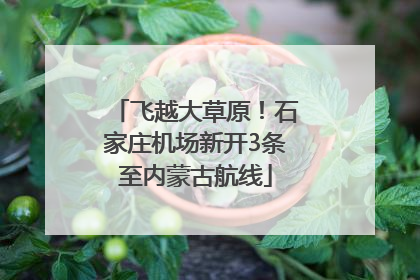 飞越大草原！石家庄机场新开3条至内蒙古航线