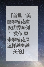首批“美丽攀枝花建设优秀案例”发布 原来攀枝花是这样越变越美的