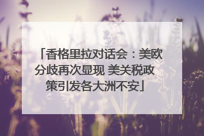 香格里拉对话会：美欧分歧再次显现 美关税政策引发各大洲不安
