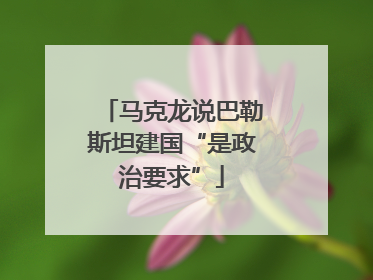 马克龙说巴勒斯坦建国“是政治要求”