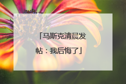 马斯克清晨发帖：我后悔了
