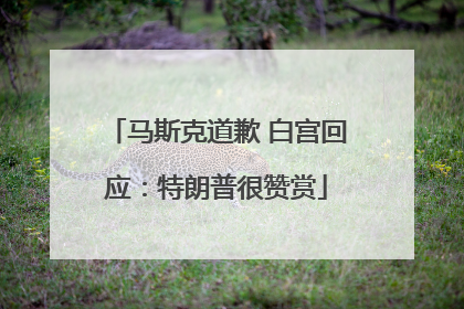 马斯克道歉 白宫回应：特朗普很赞赏