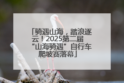 骑遇山海，踏浪逐云！2025第二届“山海骑遇”自行车爬坡赛落幕