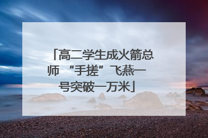 高二学生成火箭总师 “手搓”飞燕一号突破一万米
