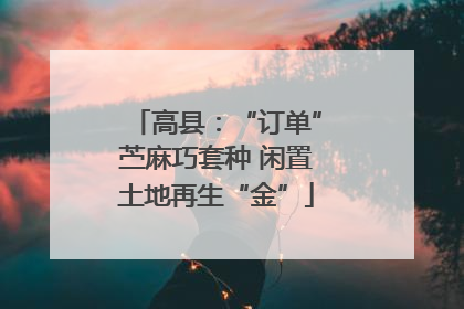 高县：“订单”苎麻巧套种 闲置土地再生“金”