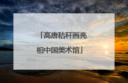 高唐秸秆画亮相中国美术馆