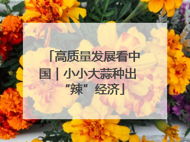 高质量发展看中国｜小小大蒜种出“辣”经济