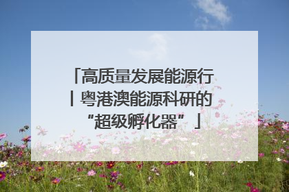 高质量发展能源行丨粤港澳能源科研的“超级孵化器”