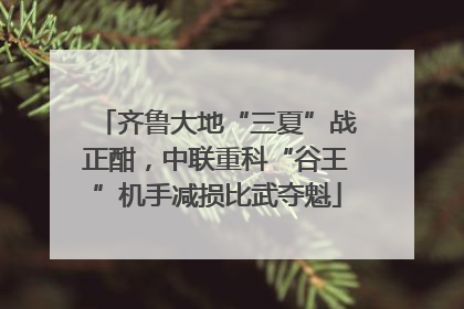 齐鲁大地“三夏”战正酣，中联重科“谷王”机手减损比武夺魁