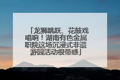 龙狮跳跃、花鼓戏唱响！湖南有色金属职院这场沉浸式非遗游园活动很带感