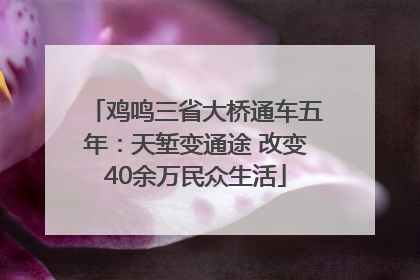 鸡鸣三省大桥通车五年：天堑变通途 改变40余万民众生活