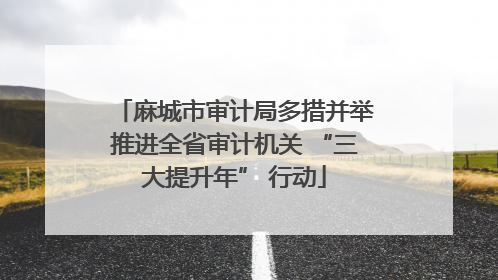 麻城市审计局多措并举推进全省审计机关 “三大提升年” 行动