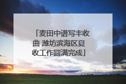 麦田中谱写丰收曲 潍坊滨海区夏收工作圆满完成