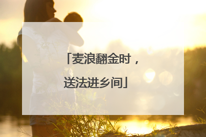 麦浪翻金时，送法进乡间