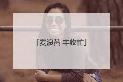 麦浪黄 丰收忙