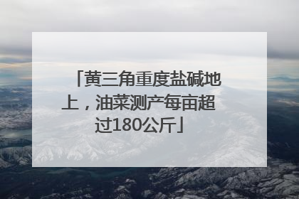 黄三角重度盐碱地上，油菜测产每亩超过180公斤
