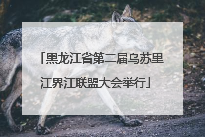 黑龙江省第二届乌苏里江界江联盟大会举行