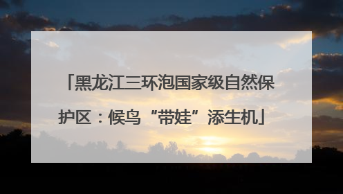 黑龙江三环泡国家级自然保护区：候鸟“带娃”添生机