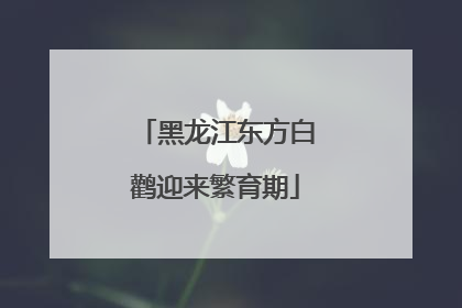 黑龙江东方白鹳迎来繁育期