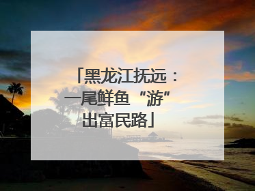 黑龙江抚远：一尾鲜鱼“游”出富民路