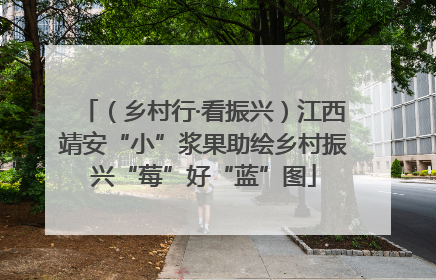 （乡村行·看振兴）江西靖安“小”浆果助绘乡村振兴“莓”好“蓝”图