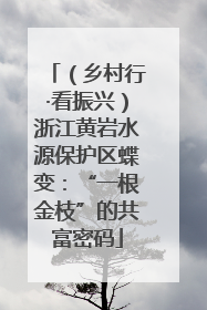 （乡村行·看振兴）浙江黄岩水源保护区蝶变：“一根金枝”的共富密码