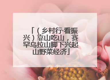 （乡村行·看振兴）靠山吃山，赛罕乌拉山脚下兴起山野菜经济