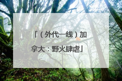 （外代一线）加拿大：野火肆虐