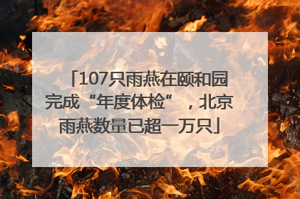107只雨燕在颐和园完成“年度体检”，北京雨燕数量已超一万只